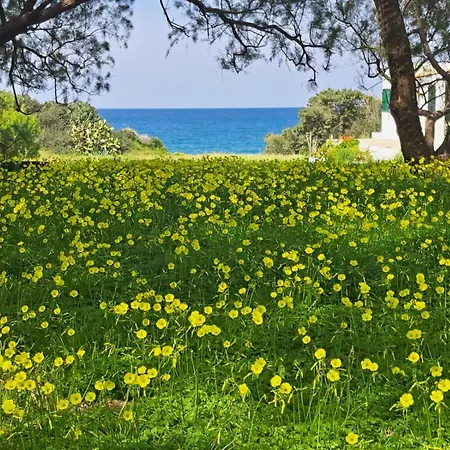 Lovely Independent In Ecovilla On The Apolakkia