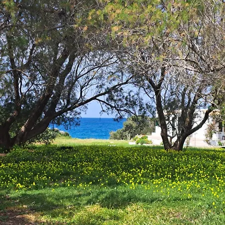 Lovely Independent In Ecovilla On The Apolakkia