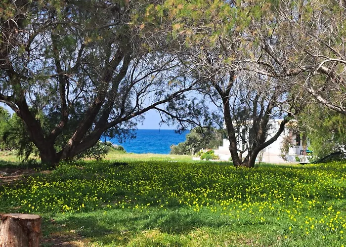 Lovely Independent In Ecovilla On The Apolakkia